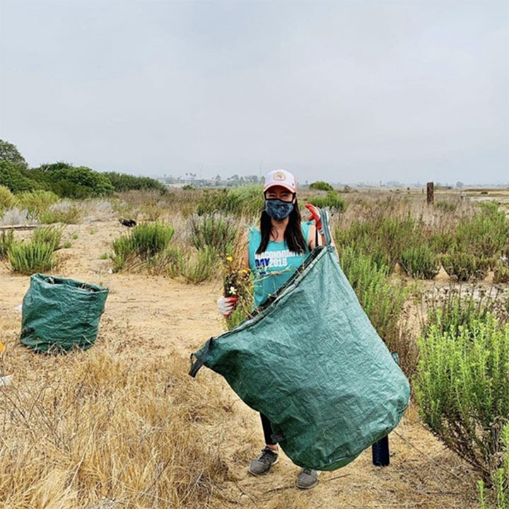 Inclusion & Impact Paramount